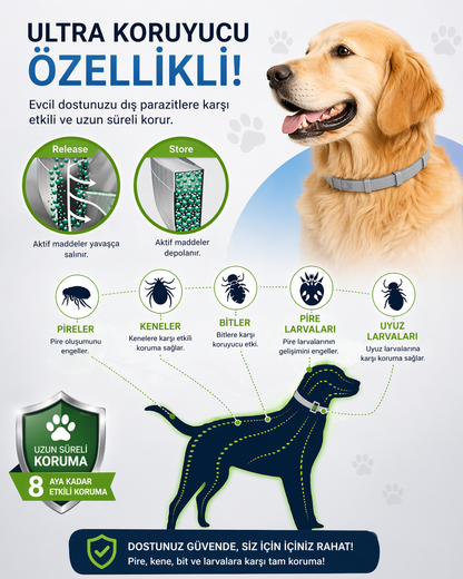 PİRE, KENE VE UYUZ ÖNLEYİCİ TASMA